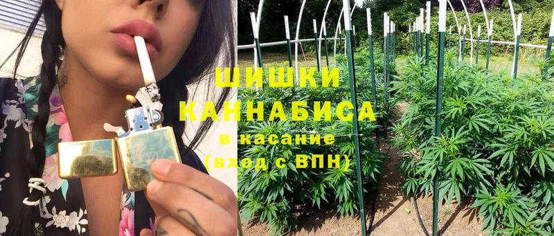 Каннабис White Widow  хочу наркоту  Валдай 